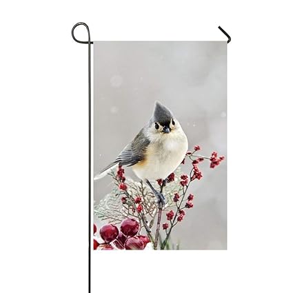 Amazon Com Pretty Birds Beautiful Cardinals Garden Flag Holiday