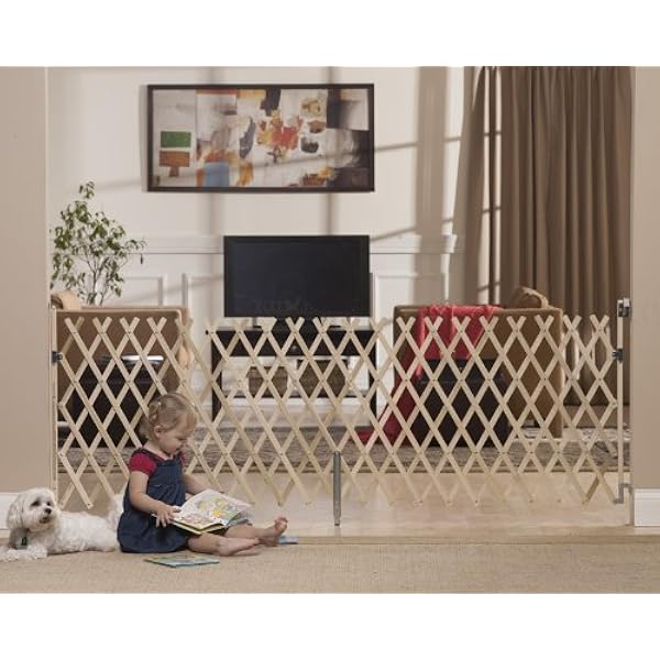 science diet cat food price