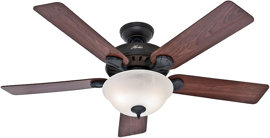 Hunter Indoor Ceiling Fan With Light And Pull Chain Control