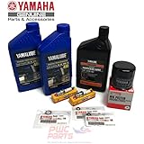 YAMAHA 2017+ F25 Outboard Oil Change 10W30 FC 4M Lower Unit Gear Lube Drain Fill Gaskets Spark Plugs NGK DPR6EB-9 Maintenance Kit