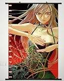 Home Decor Anime Rosario to Vampire Wall Scroll Poster Fabric Painting Moka Akashiya cosplay 058 S