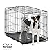 Dog Crate | MidWest ICrate 30 Inch Folding Metal Dog Crate w/ Divider Panel,| Medium Dog, Black primary