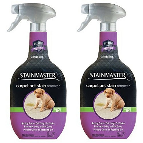 STAINMASTER Carpet Pet Stain & Odor Remover Cleaner, 22 Ounce (Pack of 2) - Thumbnail 4
