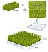 CANCA Baby Grass Countertop Bottle Drying Racks Green Grass Easy Clean Modern Design Keeps Molds and Mildews Holds Anything