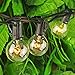 sunvito 25Feet String Lights with 25 G40 Clear Globe Bulbs + 2 Spare Bulbs,Connectable Indoor/Outdoor String Lights for Party Patio Backyard Garden Bistro Cafe Gazebo Porch Tents Decor (transparent)