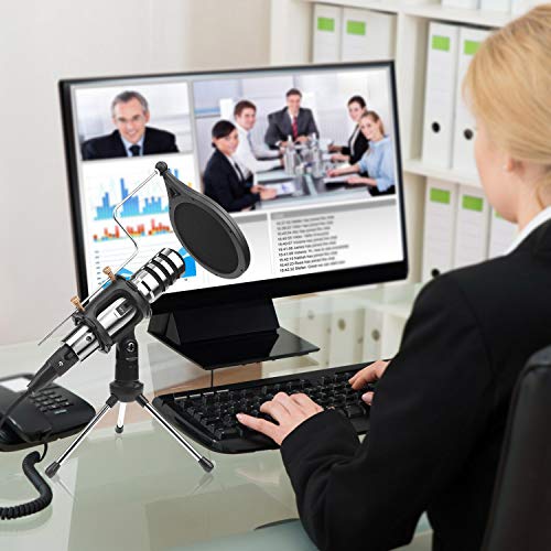 5 DricRoda+Condenser+Microphone+Recording+Conference
