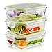 LIVING EXPRESS 3 Pieces Glass Food Storage Container Set with Snap Locking Lid,Airtight,Microwave,Oven,Freezer,Dishwasher Safe,BPA-Free (Large Square)