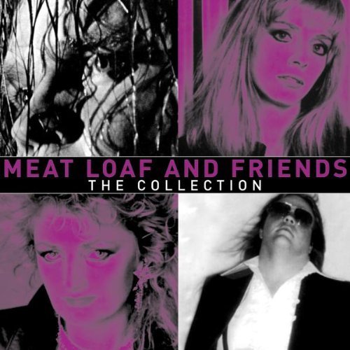 Meat Loaf - Meat Loaf And Friends By Sony Bmg Europe (2003-11-10) - Zortam Music