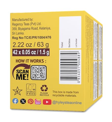 HYLEYS TURMERIC WITH GREEN TEA ASSORTED FLAVORS – ANTIOXIDANT-RICH HERBAL TEA VARIETY PACK – 42 TEA BAGS