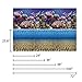 Vepotek Aquarium Background Ocean Seabed /Coral Reef Double sides (48WX24H)