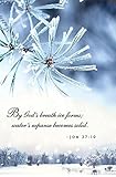 By God's Breath Winter Bulletin (Pkg of 50)