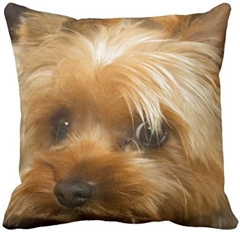 DECORLUTION Wait for Mom Love Haley Dog Yorkie Terrier Throw Pillow Cases Square Cotton Decorative Throw Pillow Case Decor Cushion Covers (16inchx16inch)