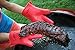 Big Time BBQ Silicone Heat Resistant Waterproof Non Slip Grill Gloves