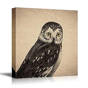 Birds Flowers Owls Butterflies Home Artwork for Living Room Bedroom