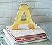 Duck Brand Deco Adhesive Laminate Shelf Liner, Metallic Gold, 20 Inches x 6 Feet (285373)
