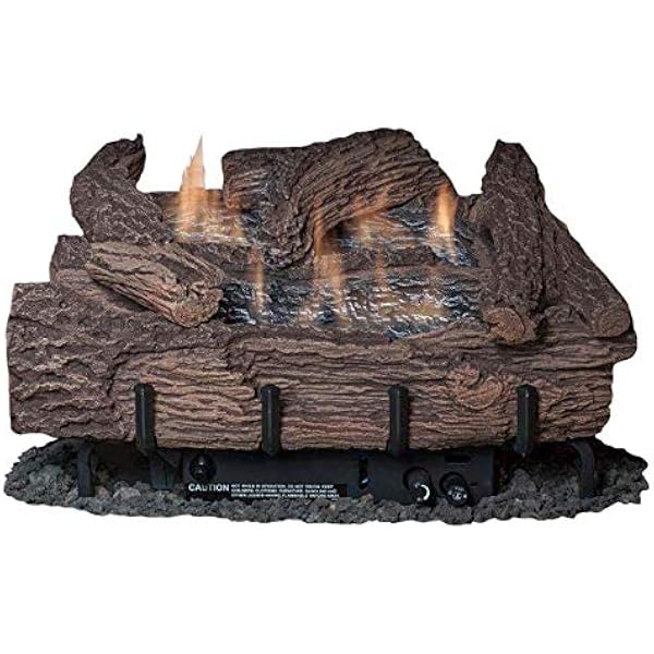 Amazon.com: Ever Warm 24 Inch Palmetto Oak 6-Piece Log Set u0026 NG Millivolt  Control Burner : Home u0026 Kitchen