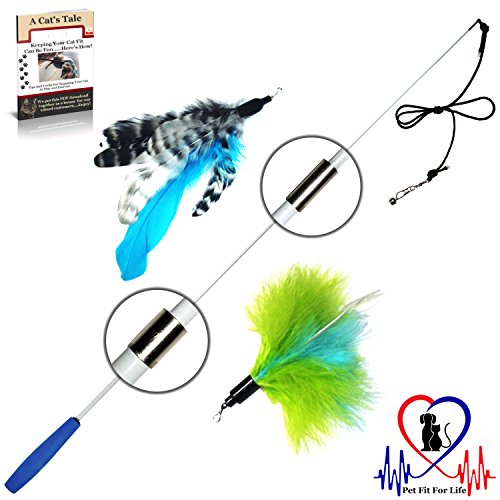 Pet Fit For Life Retractable Wand with 2 Feathers For Your Cat and Kitten - Cat Toy Interactive Cat Wand