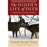The Hidden Life of Deer: Lessons from the Natural World