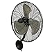 Hurricane Wall Mount Fan - 16 Inch | Pro Series | High Velocity | Heavy Duty Metal Wall Mount Fan for Industrial, Commercial, Residential, and Greenhouse Use - ETL Listed, Black