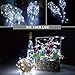 Adecorty SL-WBLWC12-CW Wine Bottle Lights with Cork Battery Powered Fairy Lights 12 Pack 20 LED Cool White