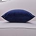 Firet Velvet Throw Pillow Cover, 20