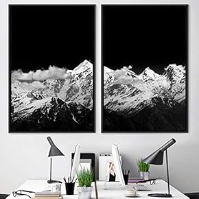 signwin 2 Piece Framed Canvas Wall Art Monochromatic...