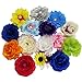 Barrettes for Girls - Flower Hair Clips for Women - 15 Pk Assorted Hair Accessory by CoverYourHair