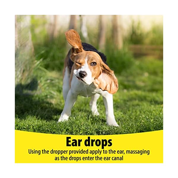 Vetzyme | Antibacterial Dog Ear Drops | Also Suitable for Cats & Small Pets | Fights Infection & Soothes Irritation (18…