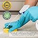 Furry Paws Pet Urine Odor and Stain Remover - 32 Ounces - Permanently Removes Dog, Cat and Other Pets Stains and Odors From Carpets & Other Surfaces - USA Made Commercial Grade Enzyme Based Cleaner