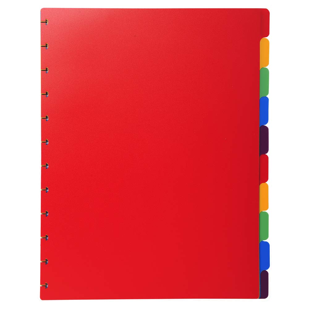 Exacompta - Ref 86003E - Divider Inserts for Repositionable Display Books - Suitable for Use With A4+ Documents, 10 Tabbed Positions - Assorted Coloured Tabs