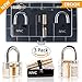 Practice Lock Set with Transparent Cutaway Crystal Pin Tumbler Keyed Padlocks for Locksmiths | Clear Visible See Through Practice Lock Pick Tools for Training Beginner and Advanced Locksmiths by NNC