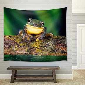 Smile! a Little Frog Smiling at The Camera - Fabric Wall Tapestry Home Decor - 51x60 inches