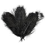 Happyyous 50PCS Natural Ostrich Feathers 12-14 Inch(30-35CM) for Home Wedding Birthday Party Decorations DIY Craft Dress-ups