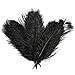 Happyyous 50PCS Natural Ostrich Feathers 12-14 Inch(30-35CM) for Home Wedding Birthday Party Decorations DIY Craft Dress-ups primary