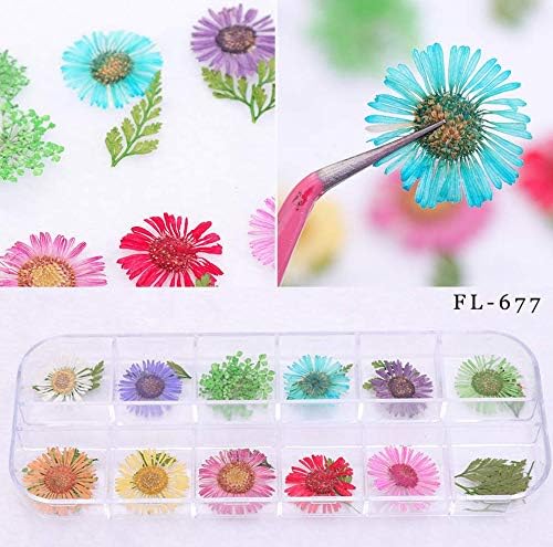 Amazon 押し花 3dネイル ドライフラワー ハーバリウム 花材 レジンデコレーション ネイルパーツ スターフラワー レジン封入 アクセサリーパーツ ネイル デコパーツ 透明収納ケース 上質 ネイルアートアクセサリー Fl677 アクセサリーパーツ 通販 Amazon 押し花 3dネイル ドライフラワー ハーバリウム 花材 レジンデコレーション ネイルパーツ スターフラワー レジン封入 アクセサリーパーツ ネイル デコパーツ 透明収納ケース 上質 ネイルアートアクセサリー Fl677 アクセサリーパーツ 通販