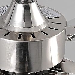 Outdoor Ceiling Fan Light,Remote Control Patio