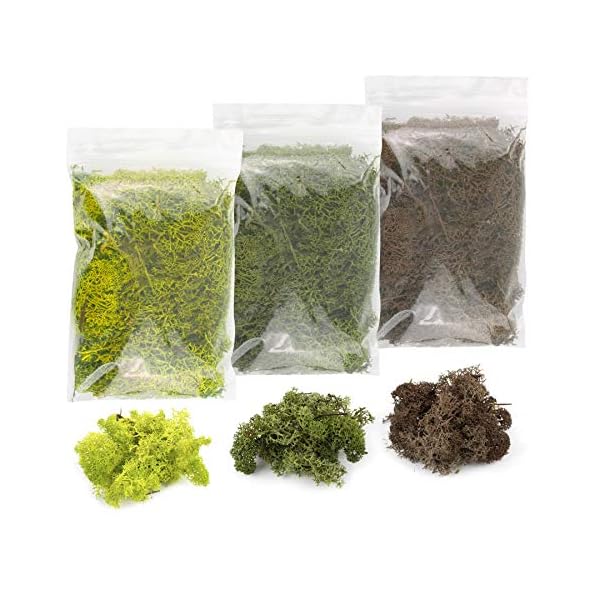 War World Scenics Lichen Flechte Modell Moos Laub Multipacks 3 x 20g (HellgrÃ¼n, DunkelgrÃ¼n, Braun) - Railway Wargame Tabletop GelÃ¤nde Landschaft Baum Busch Hecke Diorama Basing