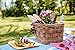 (125 Pack) 10in Palm Leaf Plates- Compostable Disposable- Biodegradable Plates Paper Alternative - 25 Square with 25 Cutlery Utensils Eco Friendly Party Dinnerware Set - BBQ Wedding Shower -50 Napkins