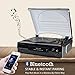 Vinyl Record Player with Bluetooth Output Input,Turntable for Vinyl Records with Speakers USB Digital TS FM Radio Counter Weight Speed Adjust