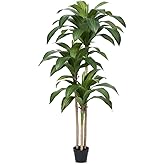 VeriNatural Artificial Dracaena Tree, 5FT Tall Fake Plants with UV Resistant Leaves, Faux Tropical Yucca Trees for Indoor Out