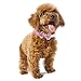 Yunt Bling Rhinestone Pet Cat Dog Bow Tie Collar Necklace Jewelry,Female Puppies Chihuahua Yorkie Girl Costume Outfits(Pink,X-Small)
