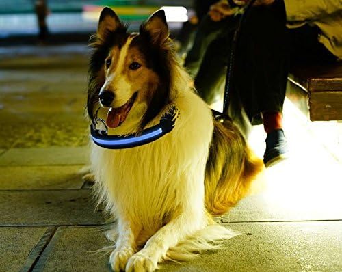 Dog Collar, New Bright Nylon LED Flashing Lights Make More Visable and Durable at Night for Your Dog