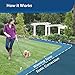 PetSafe Basic In-Ground Dog and Cat Fence – from The Parent Company of Invisible Fence Brand – Underground Electric Pet Fencethumb 2