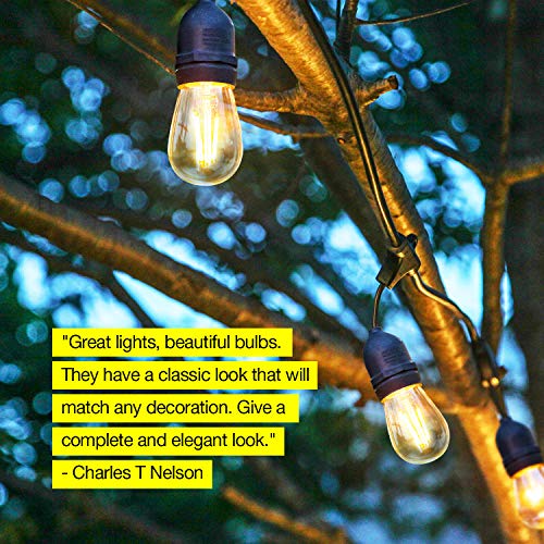 Brightech Ambience PRO Replacement LED Light Bulbs, 2 Watt Vintage LED