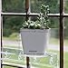 Window Garden Aquaphoric Self Watering Planter 5” and Fiber Soil, Foolproof Indoor Home Garden. Decorative Planter Pot for All Plants, Flowers, Herbs, Indoor Herb Planter