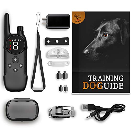 tiny dog training collar