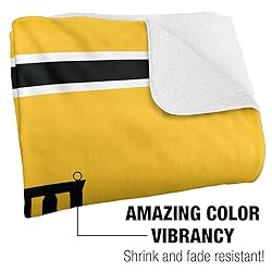 Northern Kentucky University Primary Logo Stripes