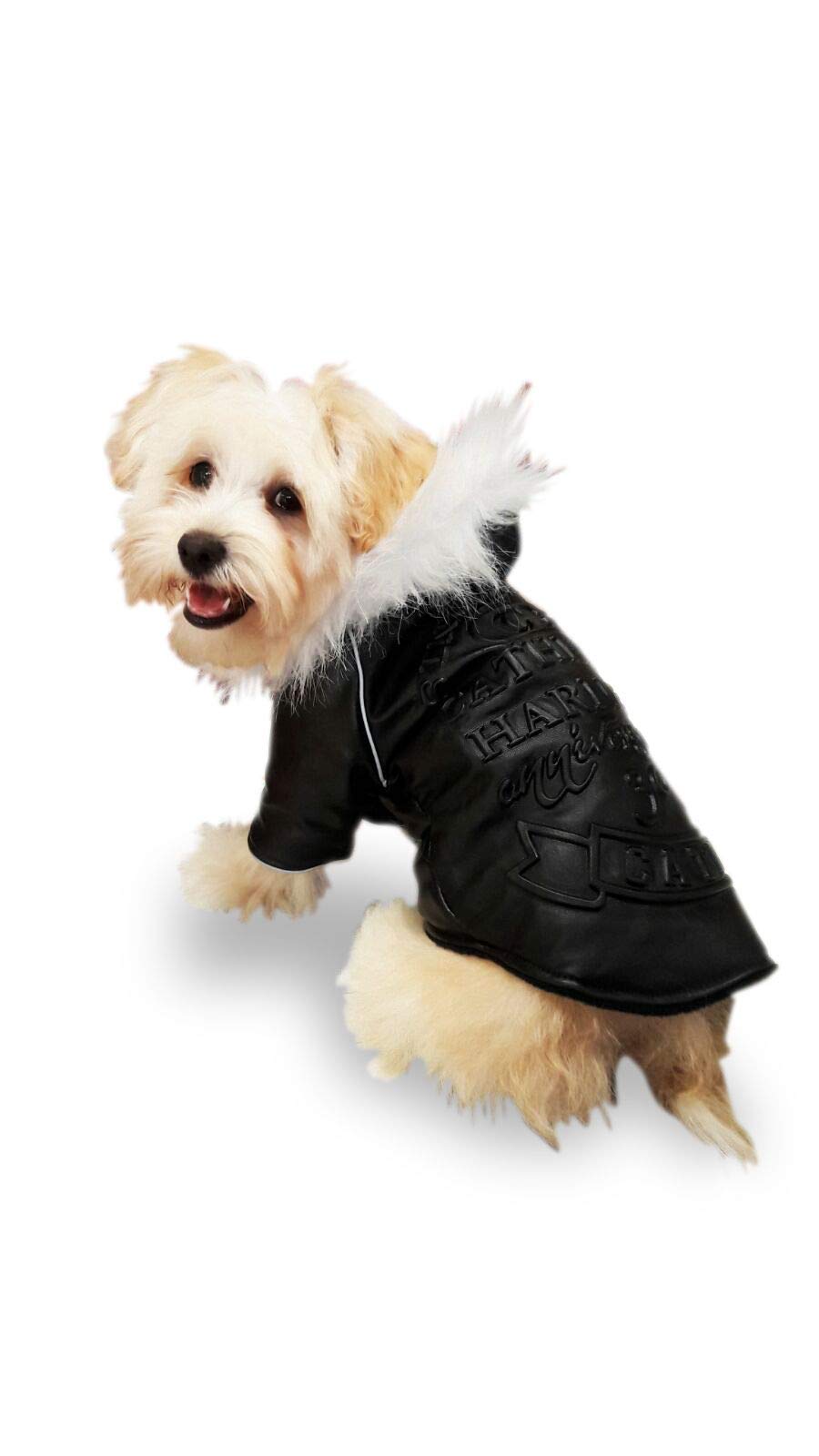 Pet Tribe PT72577 Pettribe Seattle Jacket 20 cm, Black