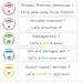 Pasjel Precious Skin Body Cream Eliminate Stretch Mark Whitening Skin Authentic