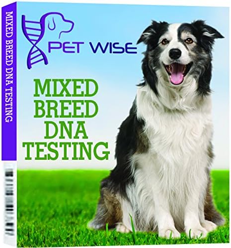 Dog DNA Breed Identification by Go Pet Wise